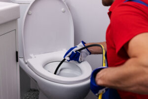 Clogged Toilet Repair by Collins.
